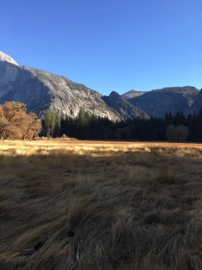 picture of a landscape: dry grass and mountains