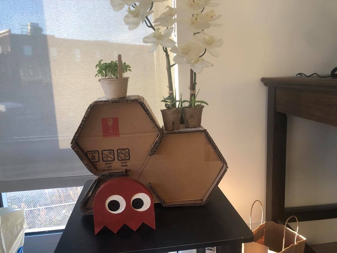 cardboard plant holder with a pacman in front of it