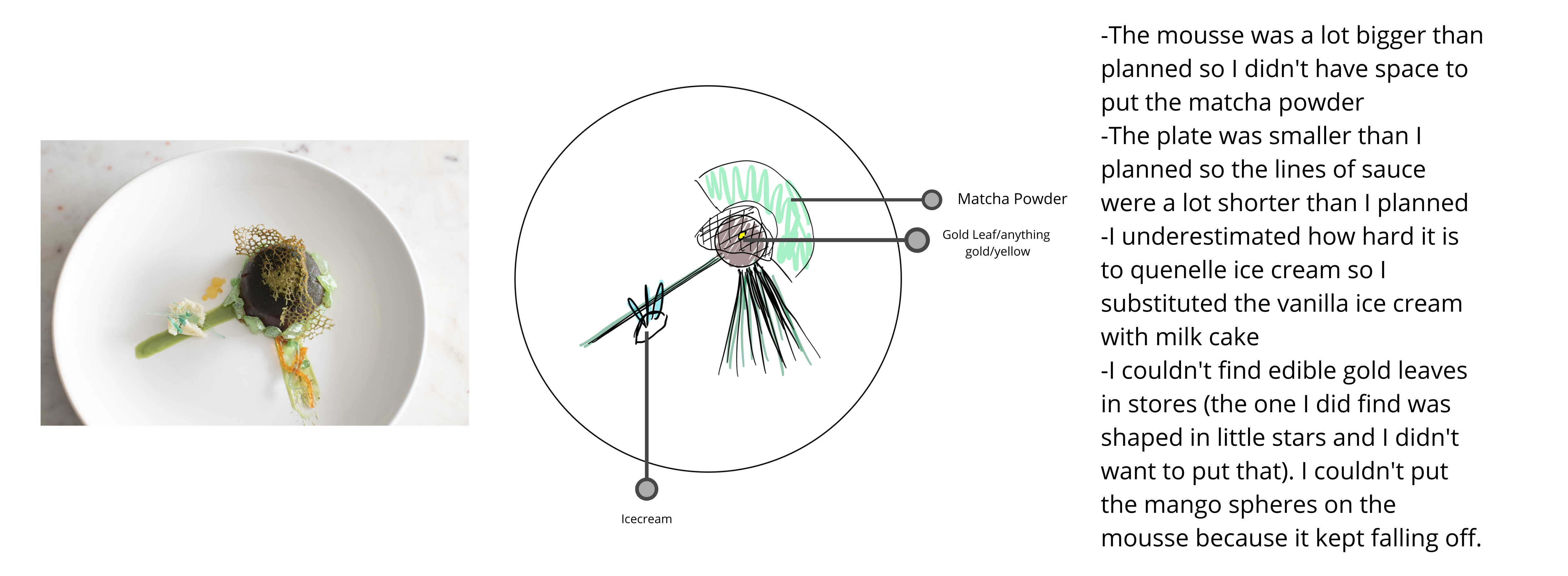 a picture of my dessert, the sketch, and notes about what I couldn't include