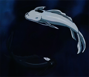 a gif of koi fish from avatar
