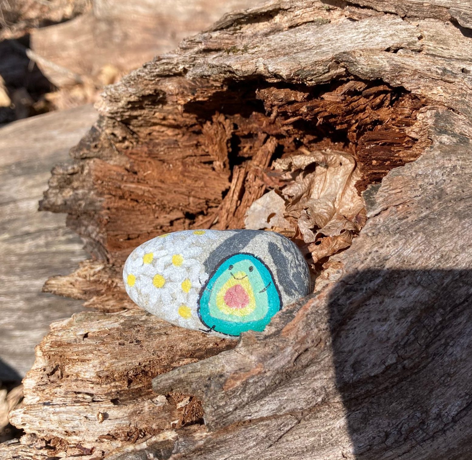 A rock sits inside the hollow of a fallen tree. The rock has a cute anthropomorphic avocado painted on it.
