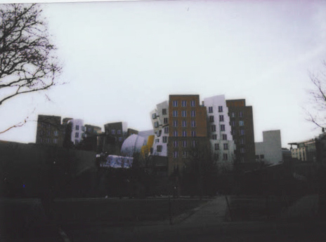 picture of stata