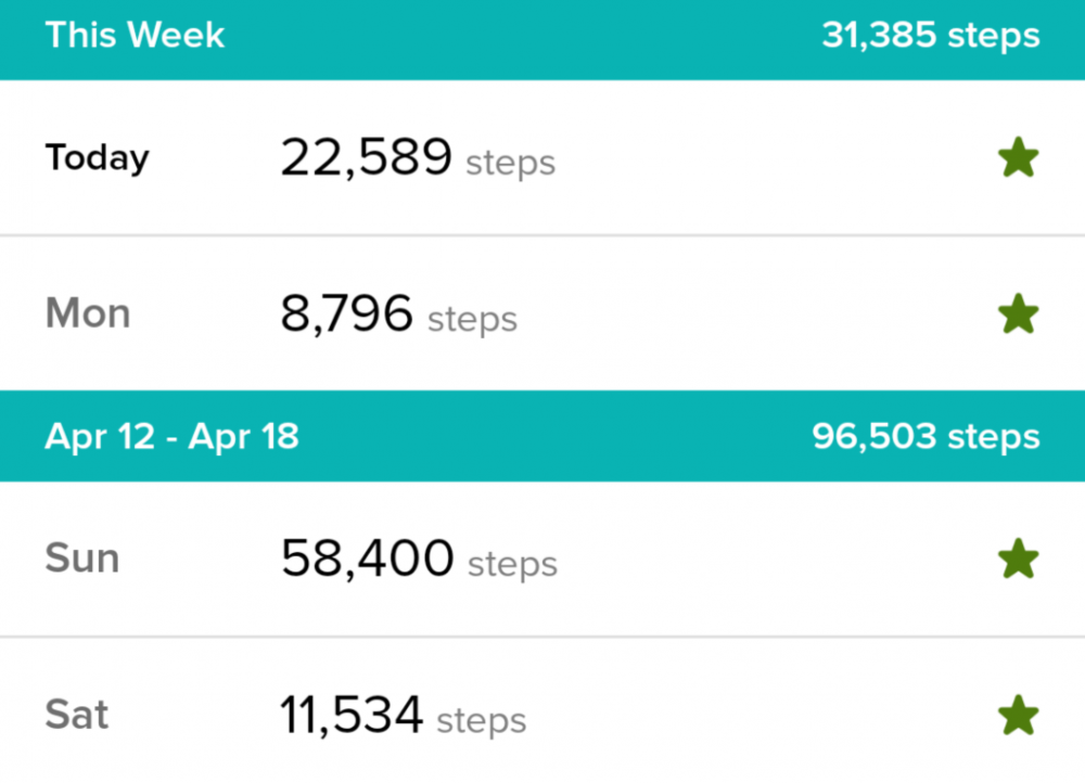 step counts for the 4-day weekend; 11,534 for saturday, 58,400 for sunday, 8,796 for monday, and 22,589 for tuesday