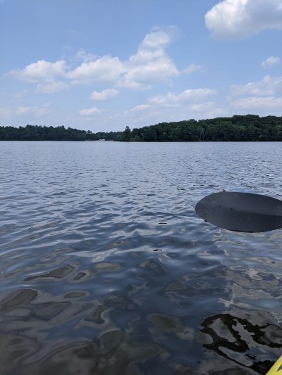 picture of the lake