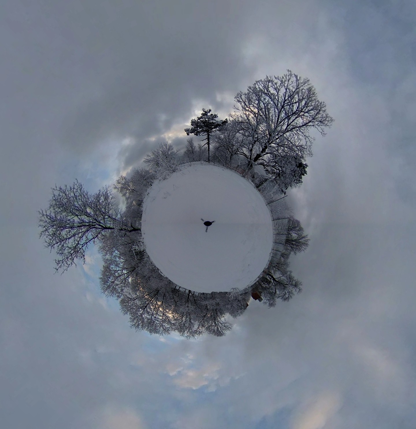 360 picture of snowy land
