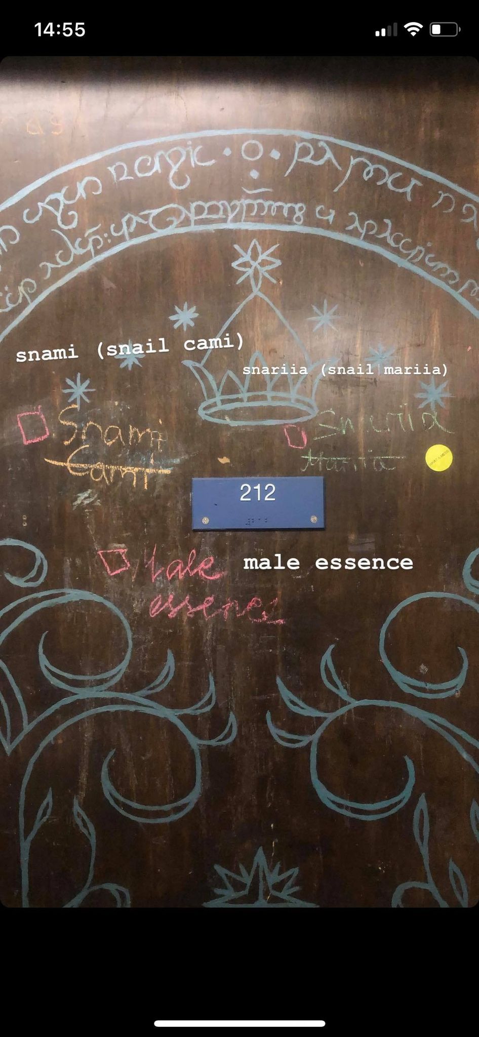 my old double door with snami, snariia, and male essence written on it in chalk