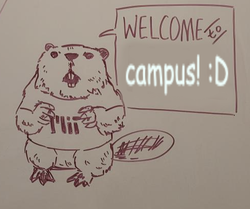 whiteboard drawing of realistic tim the beaver
