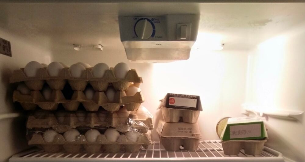 156 eggs living in our fridge