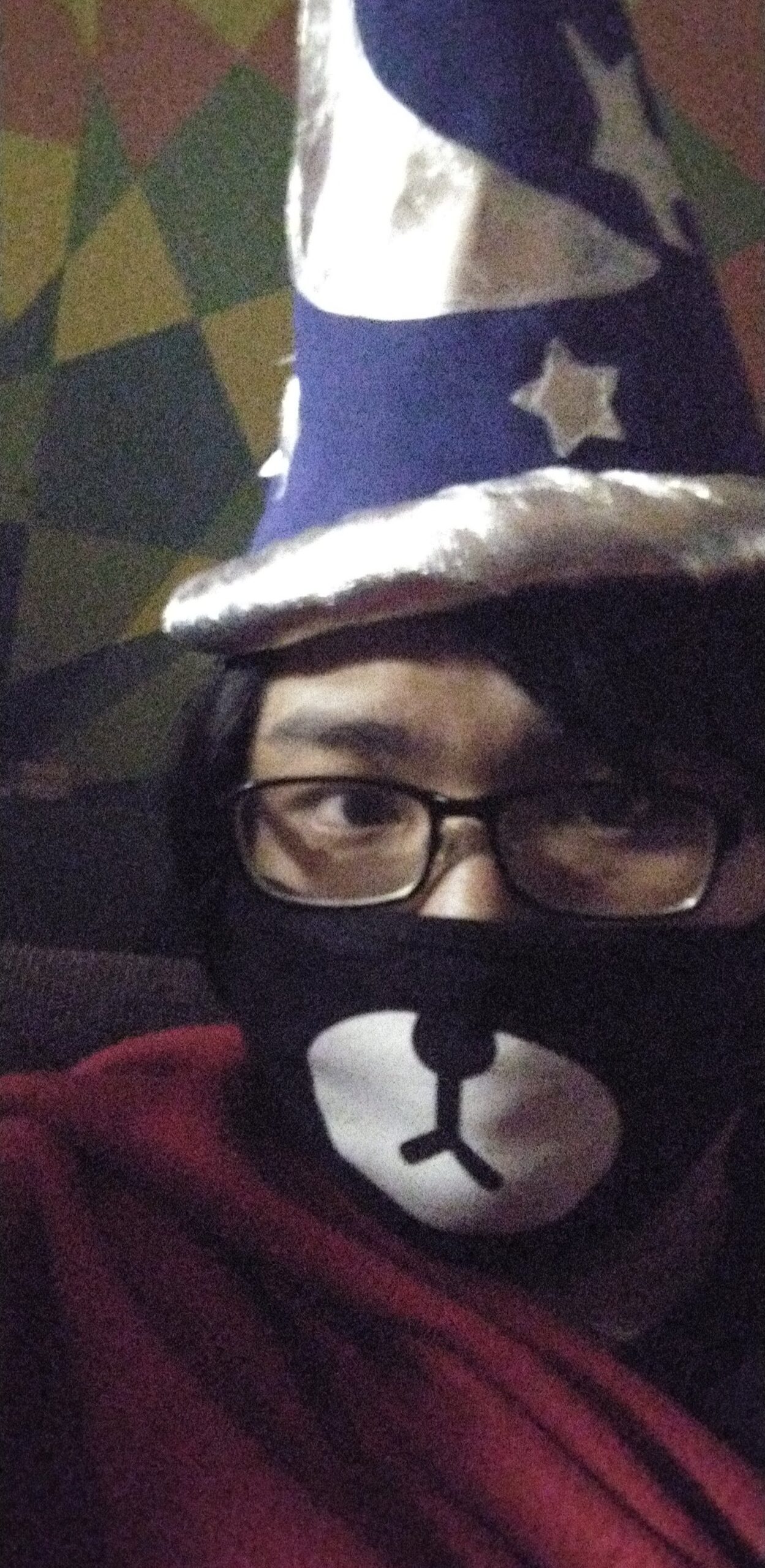 selfie of me wearing a wizard hat and a bear mask and a red blanket draped over me