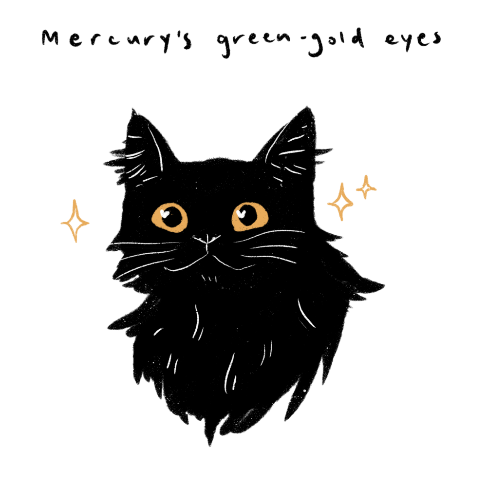 mercury's (black kitten) green gold eyes