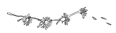 illustration of daisy chain