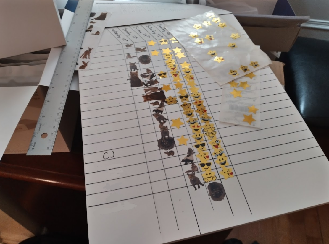 clipboard with sheet of paper with table having gold star stickers