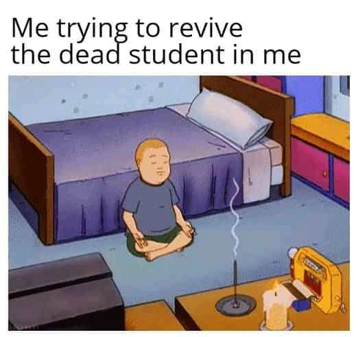 me trying to revive the dead student in me