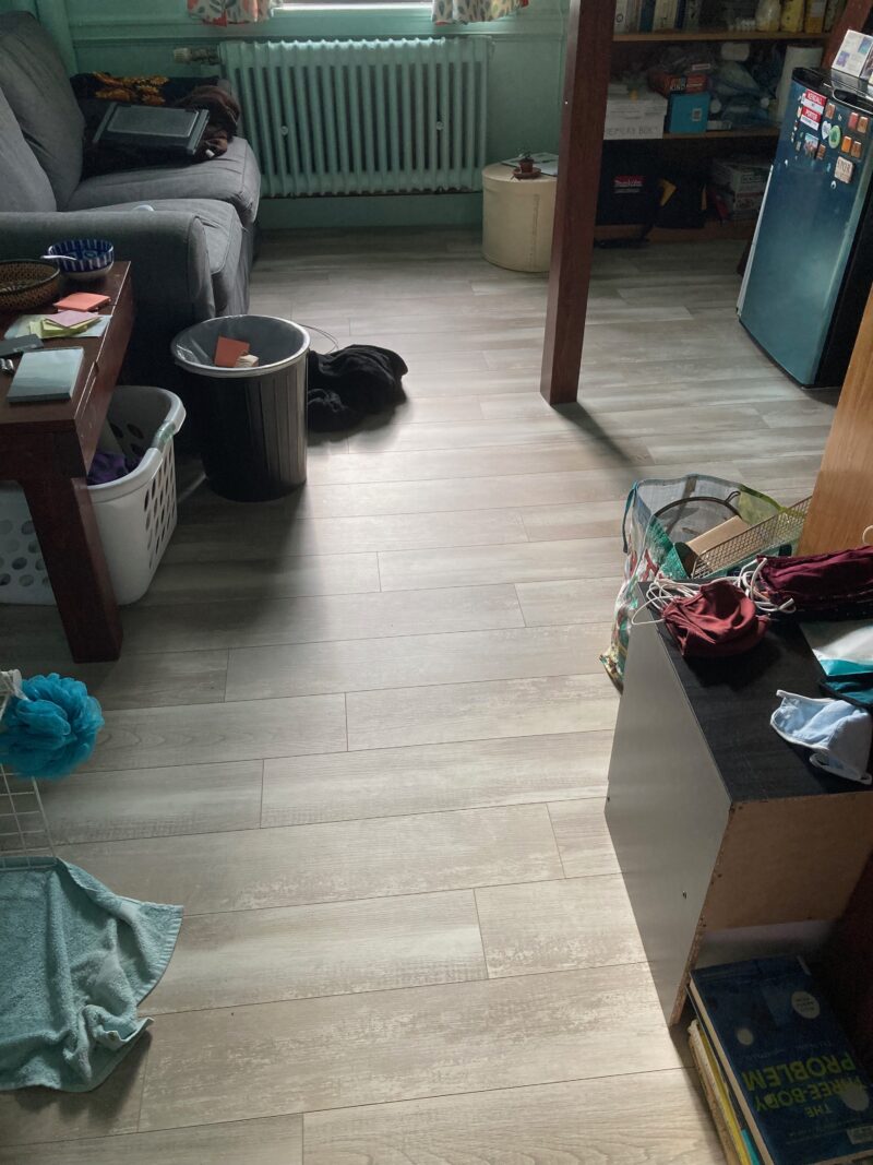 My room again, but the couch and floor are clean.