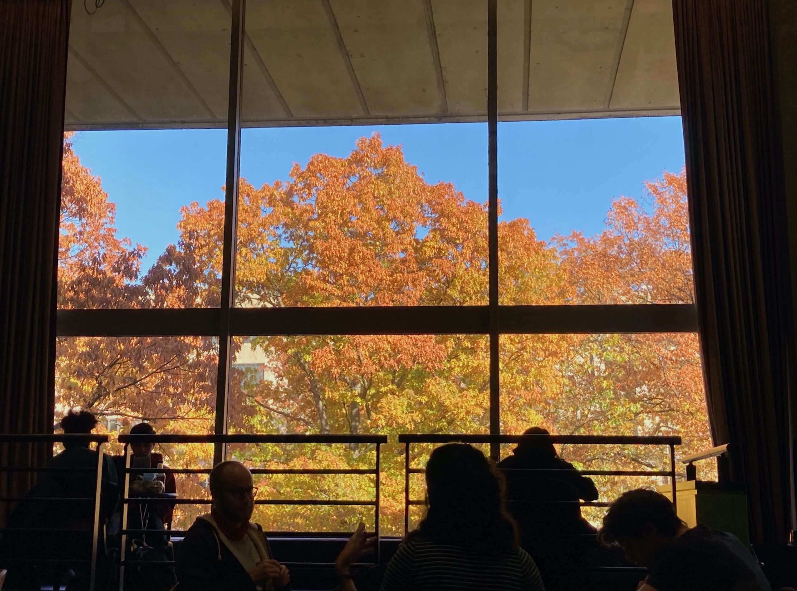 The foreground is a dark room with people's silhouettes. The background, seen through a large window, is orangey-red trees.