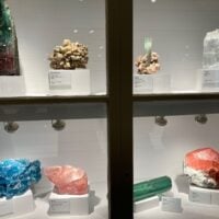 A glass case with many different rocks inside it. They vary widely in color and…