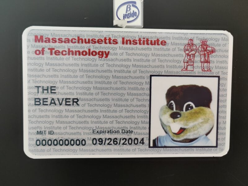 tim the beaver's id