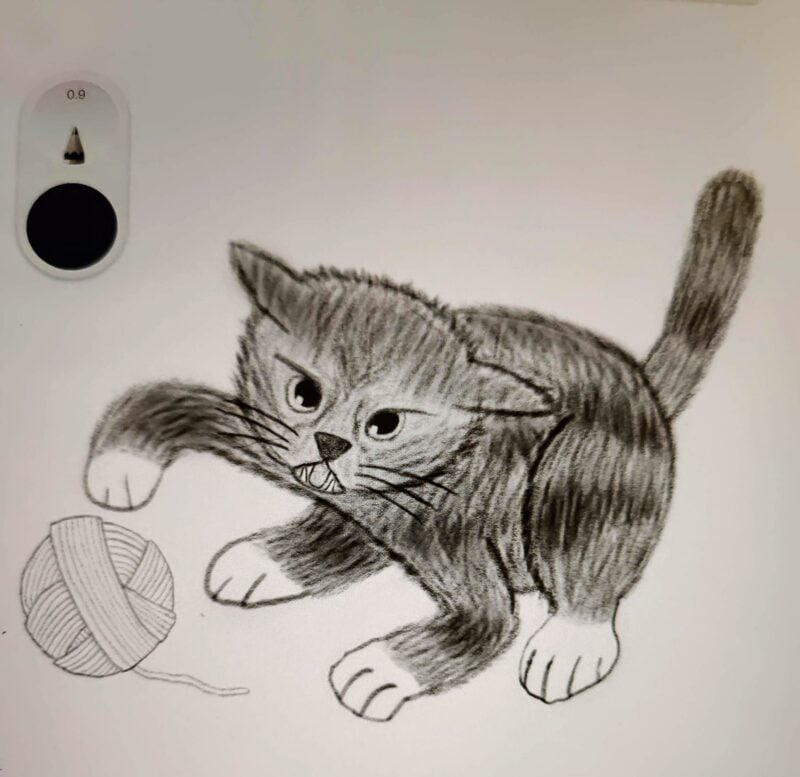 a drawing of a kitten