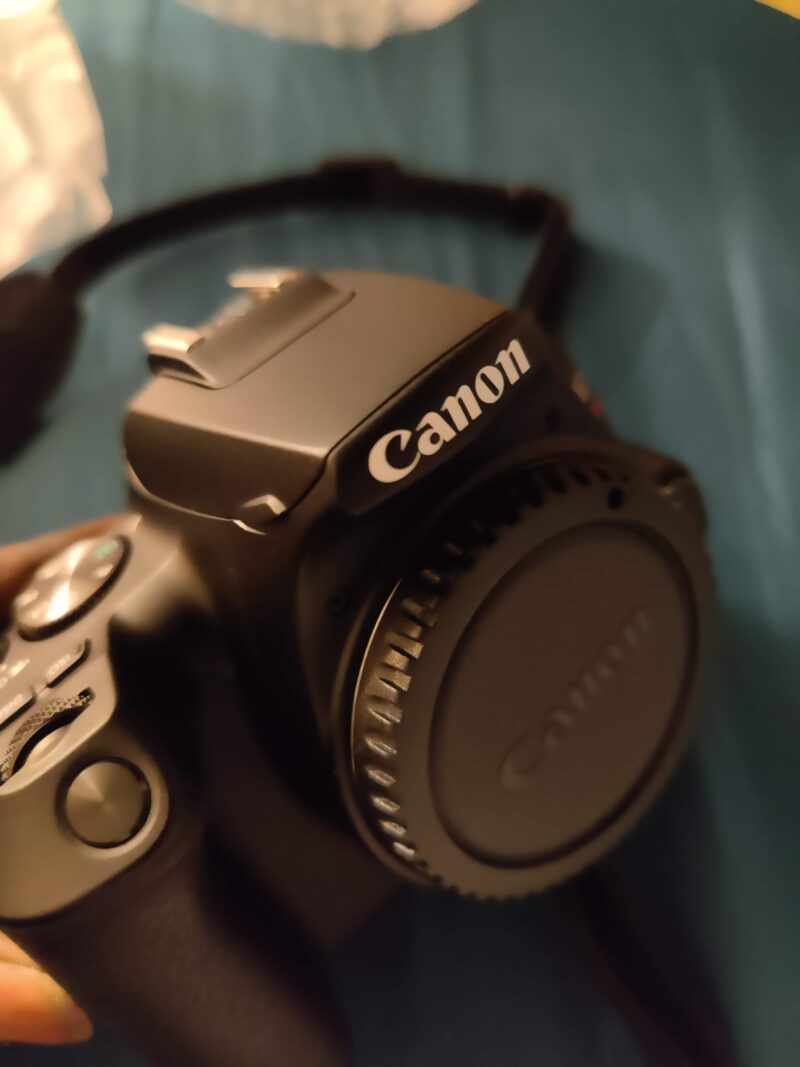 a canon camera