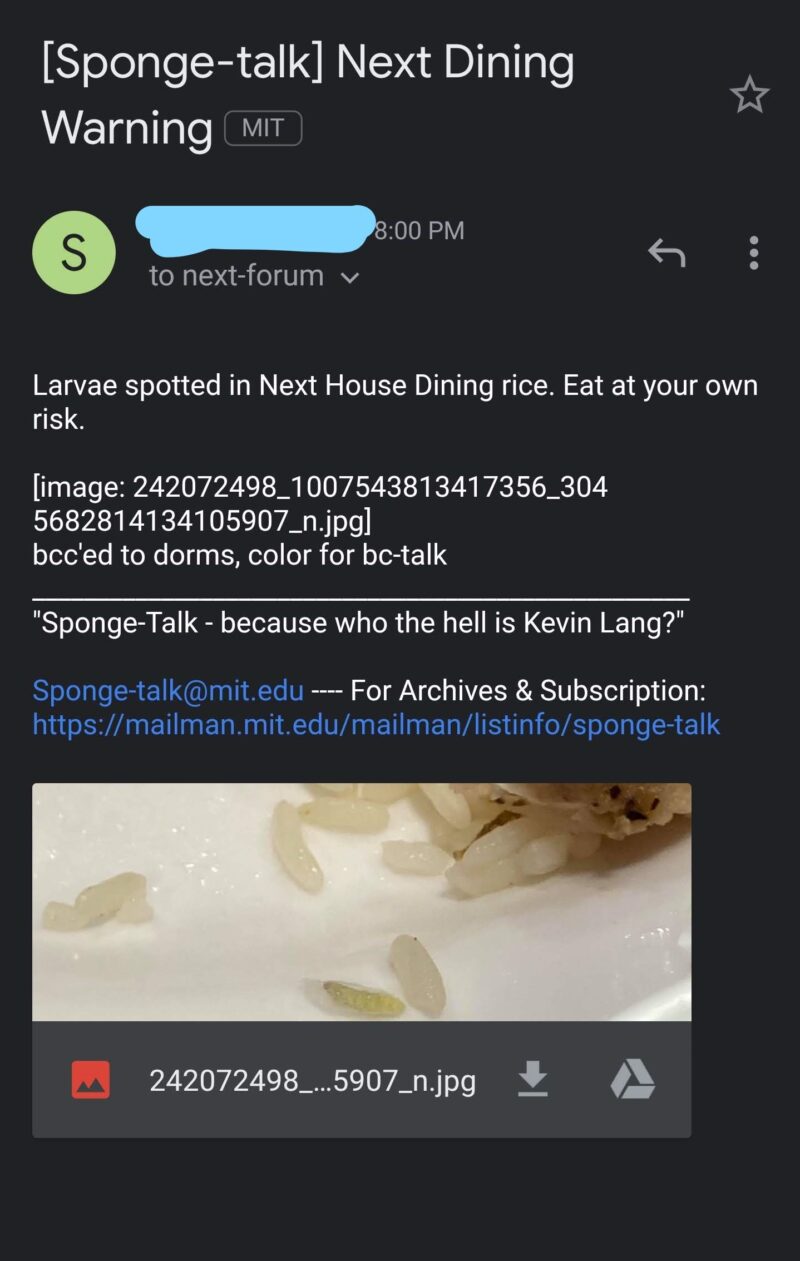 next dining has larvae in their rice