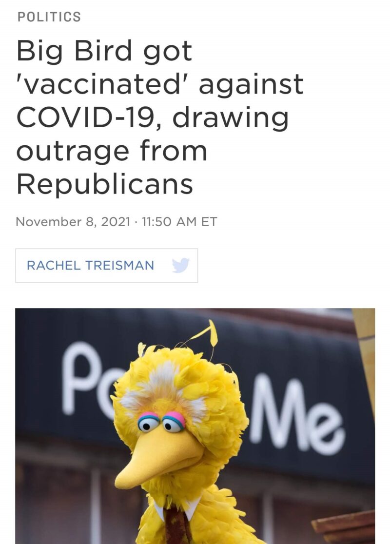 big bird gets vaccinated