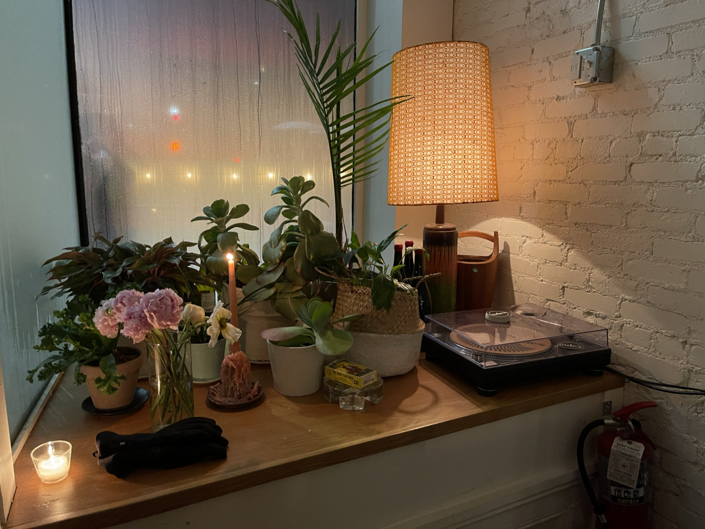 succulents and record player on a large indoor windowsill
