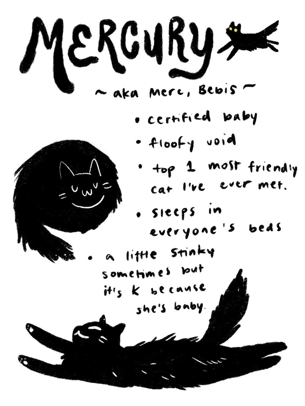 mercury. aka merc, bebis. certified baby. floofy void. top 1 most friendly cat i've ever meet. sleeps in everyone's beds. a little stinky sometimes but it's k because she's baby