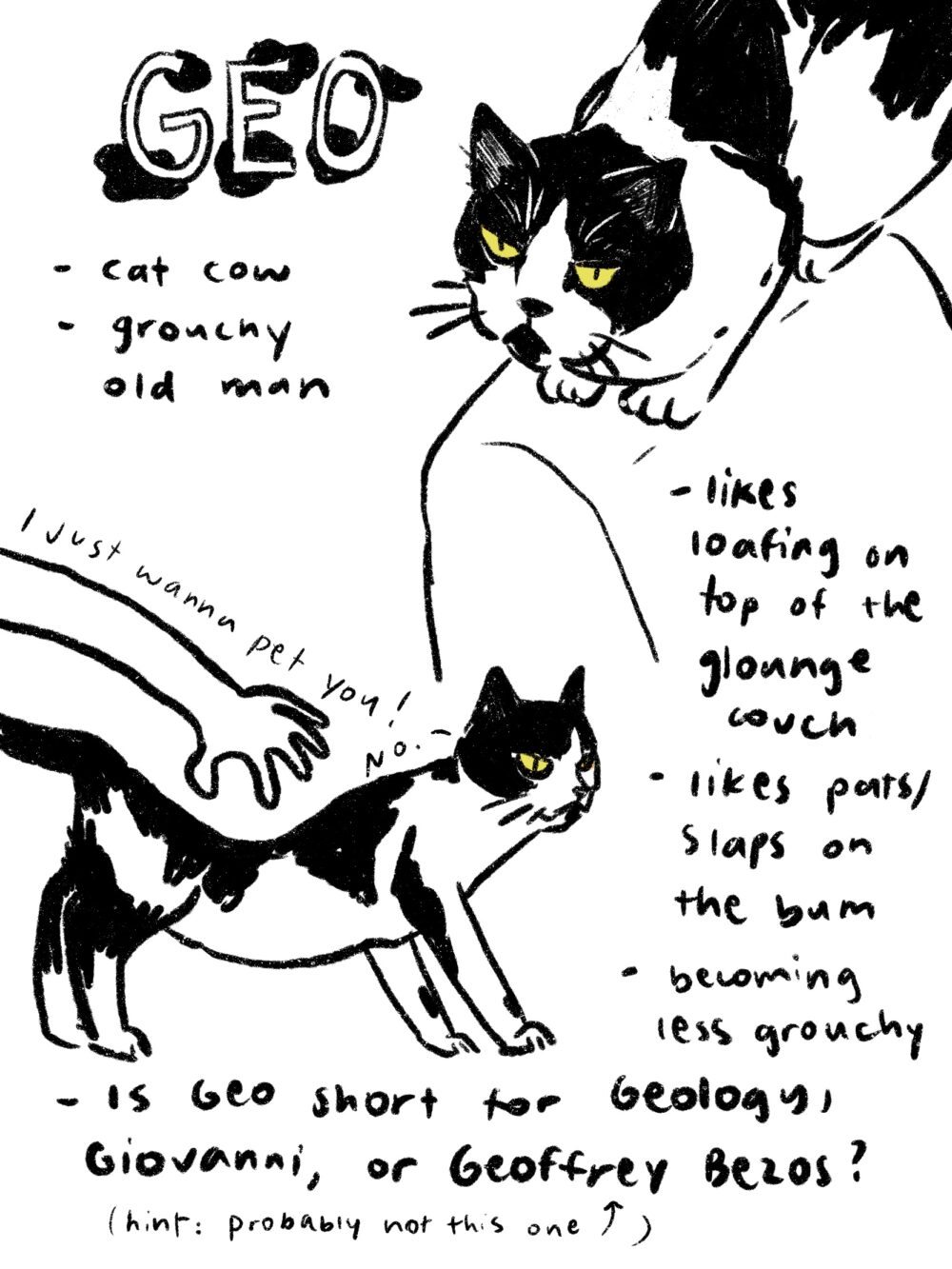 Geo. cat cow. grouchy old man. likes loafing on top of the glounge couch. likes pats/slaps on the bum. becoming less grouchy. is geo short for geology, giovanni, or geoffrey bezos. probably not the last one
