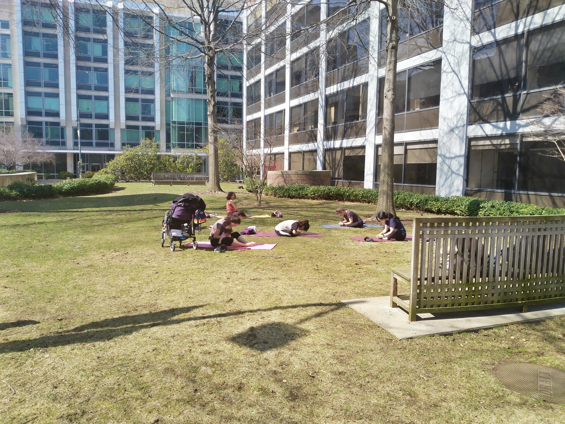 a group of people doing yoga on some grass