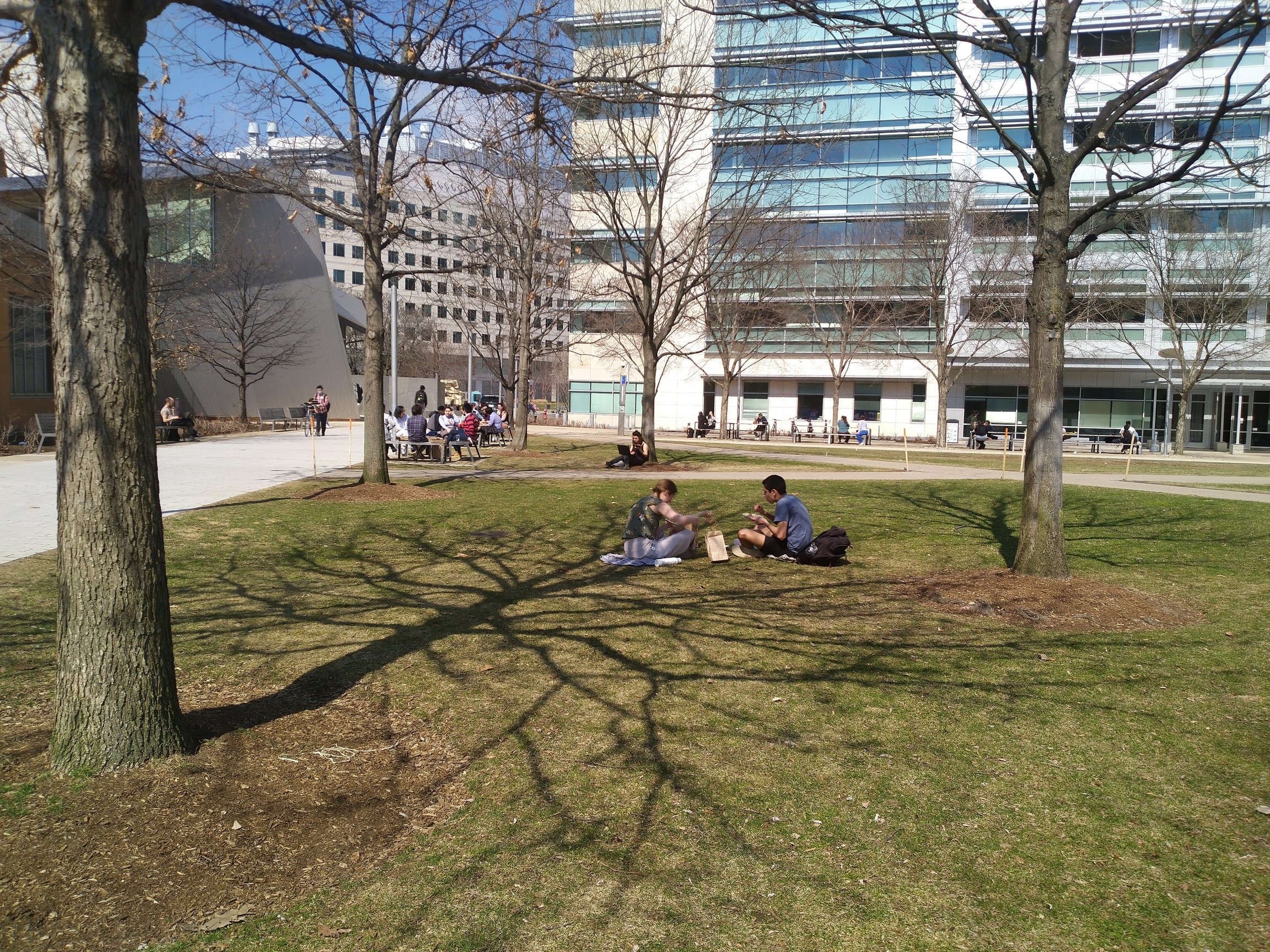 two people eating lunch on grass