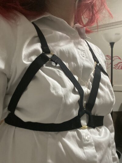 diy harness