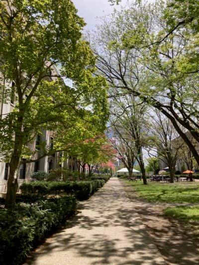 A sidewalk extending into the background. A grassy courtyard with trees is on the right. Bushes and more trees are on the left, and the east parallel of East Campus is just barely visible behind them.