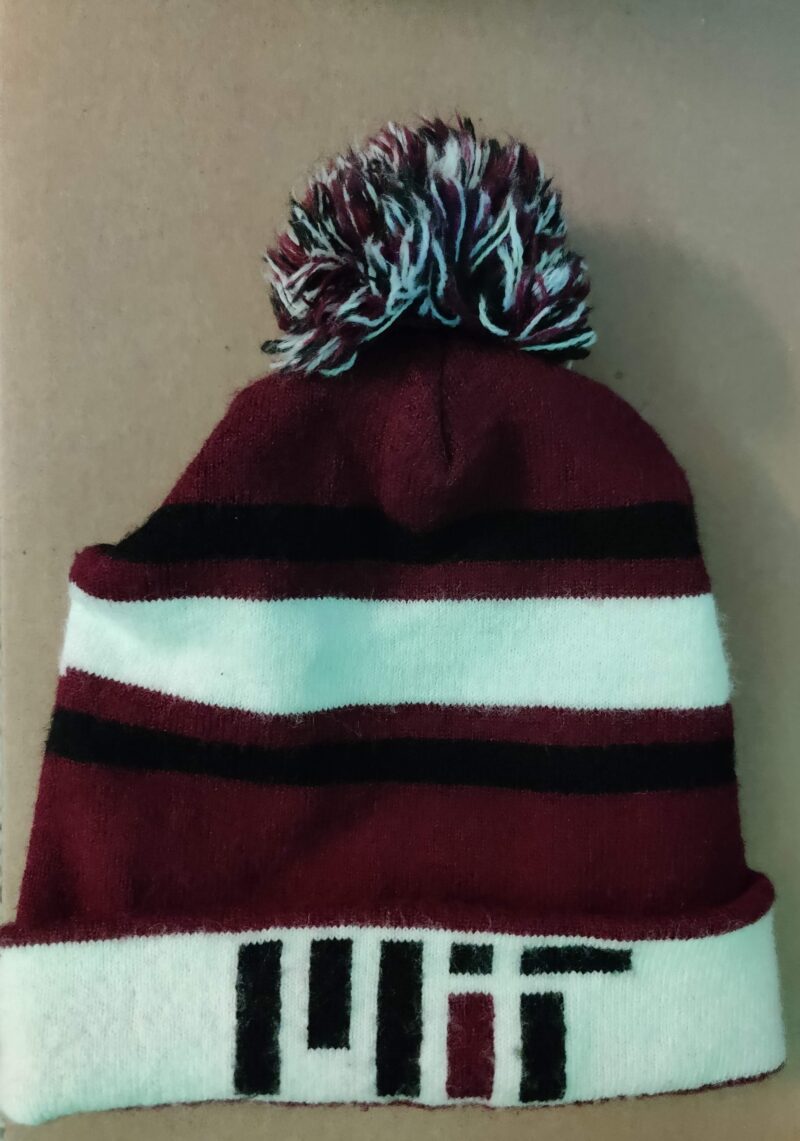 mit beanie