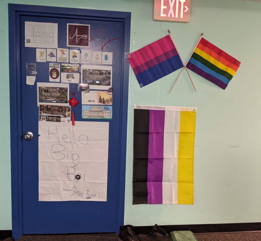 pride flags outside a door