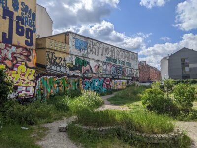 train cars with graffiti in a vacant lot