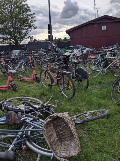 bikes in the grass