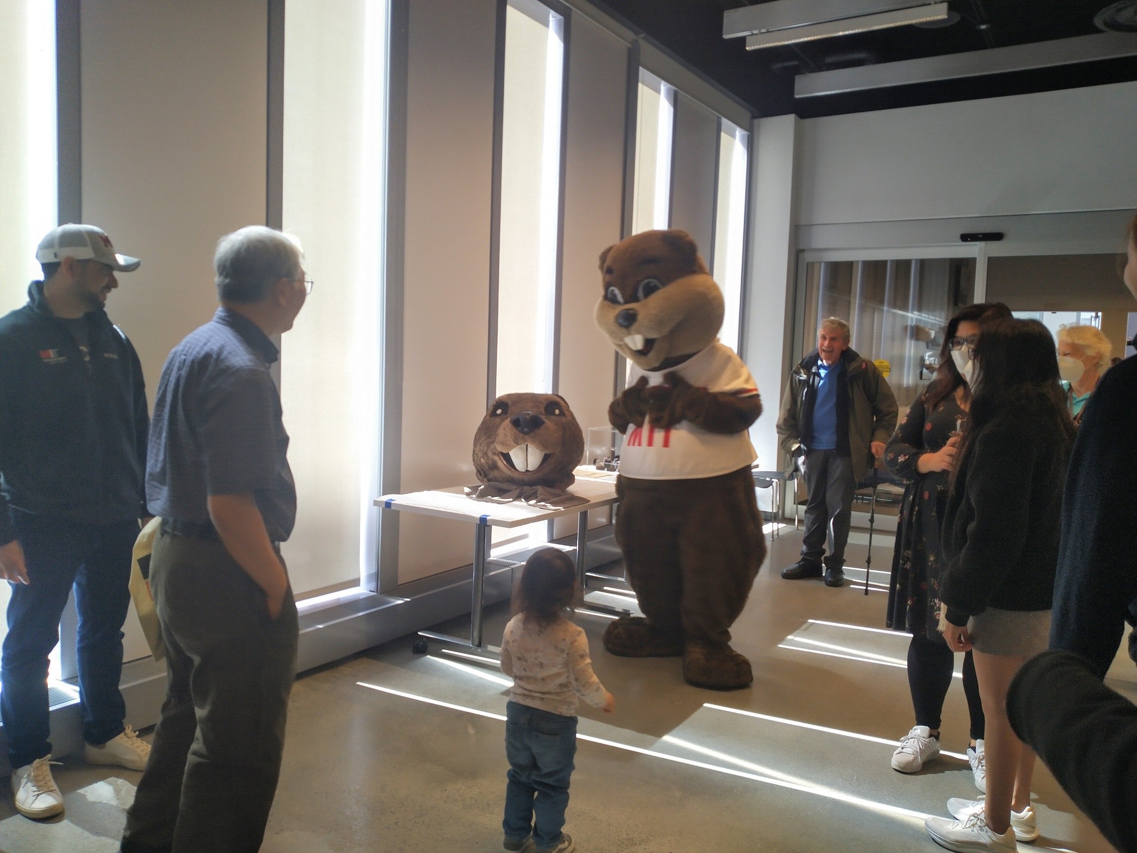 someone in a tim the beaver costume looking at a detached tim the beaver head