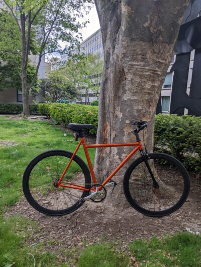 bike with a tree
