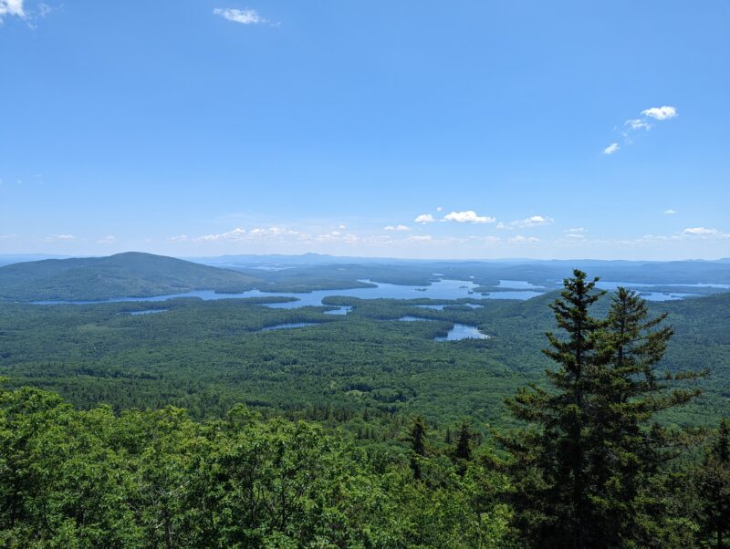 vista with many trees and lakes in distance