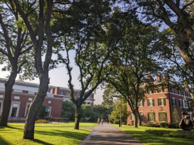 harvard yard with some buildings