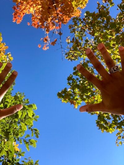 Looking directly up at the blue sky. Some green and orange tree leaves are visible, as well as my hands outstretched to the sky.