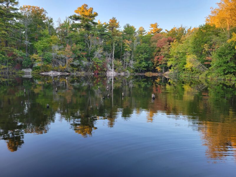 A small pond with trees on the other side. The trees are mostly green with a bit of orange and are reflected in the still pond.