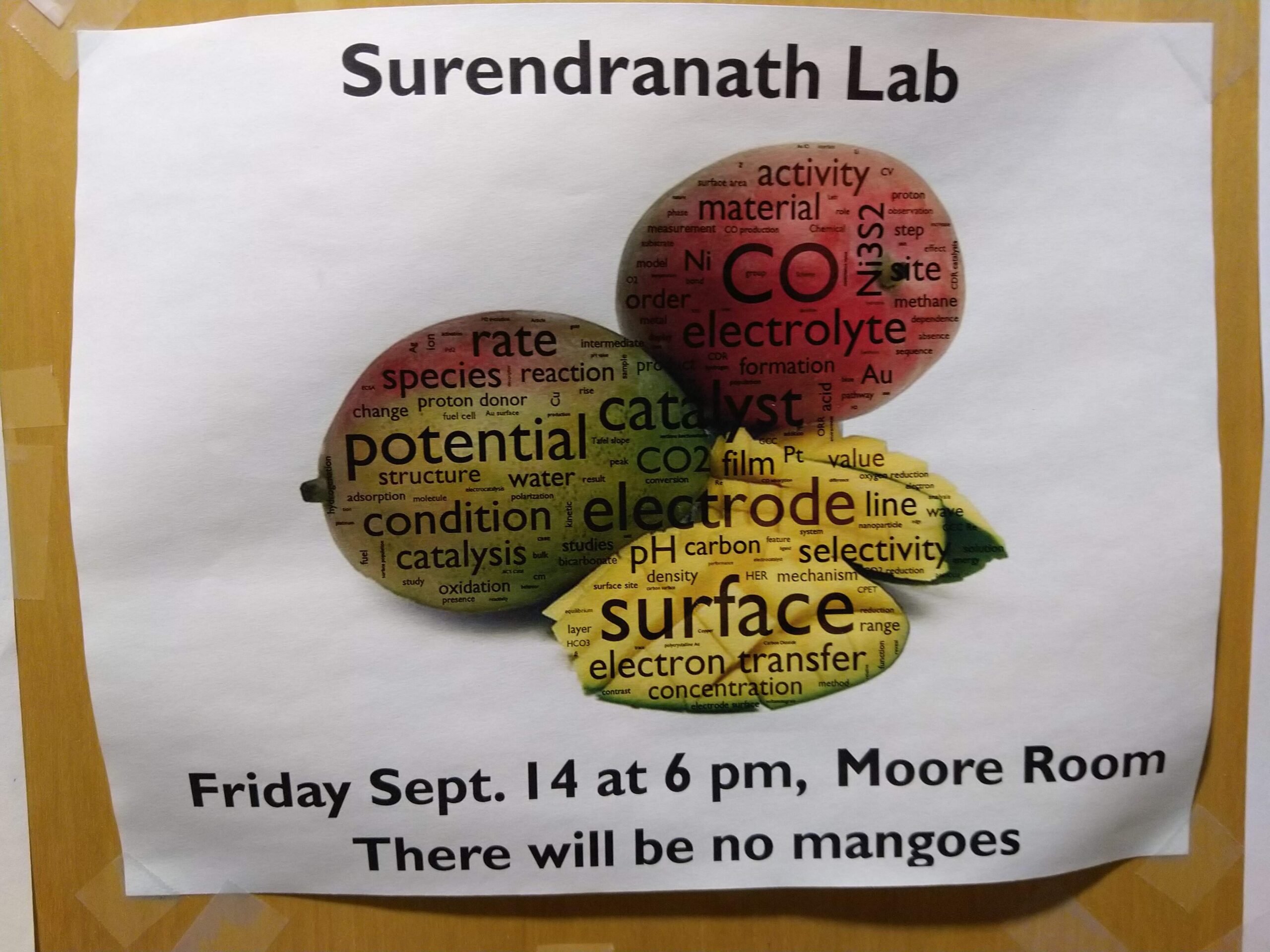 surendaranath lab poster