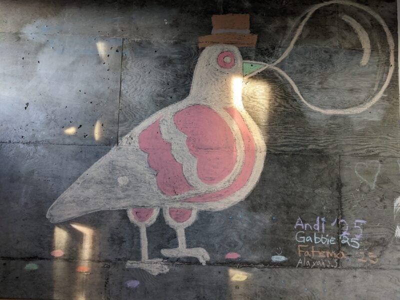 Chalk drawing of a pigeon