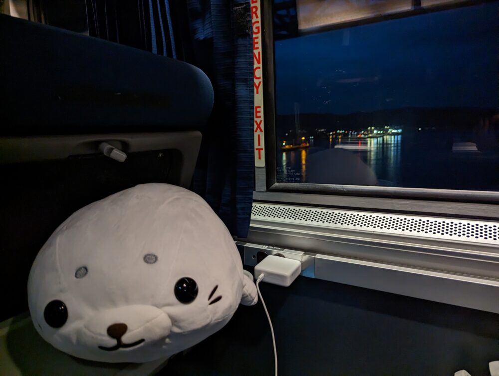 seal plush with view of water out of focus through window