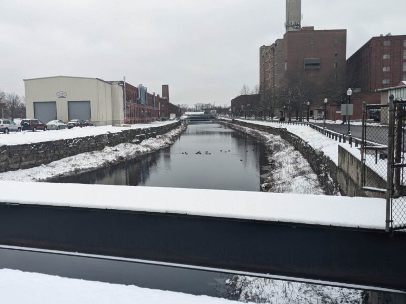 picture of river with ducks