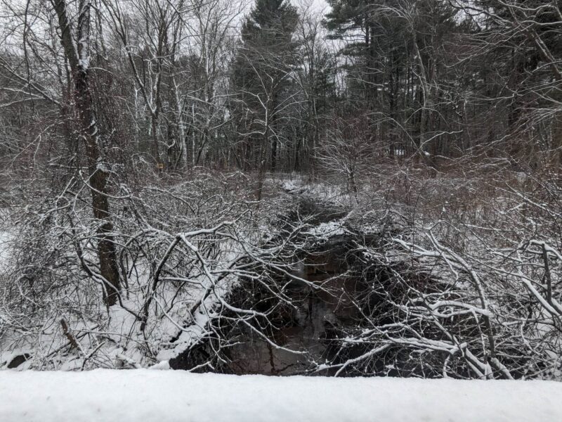 picture on bridge over small brook