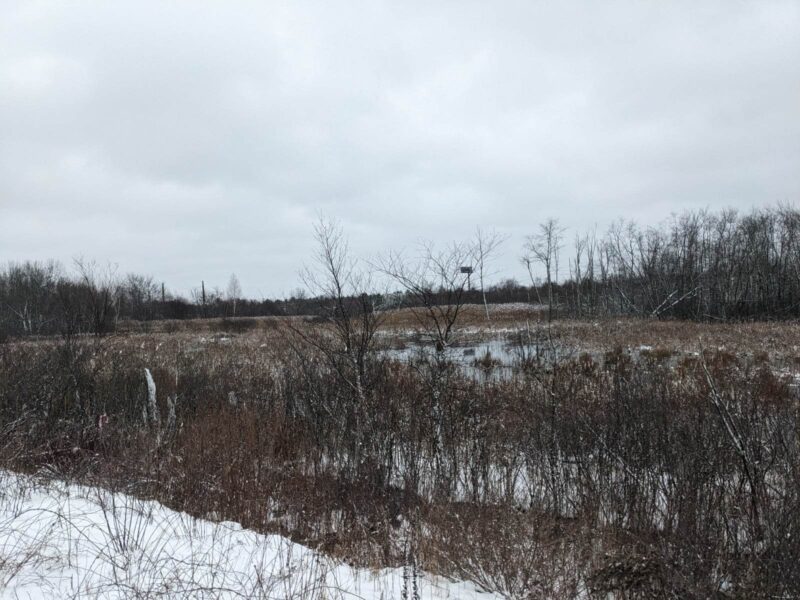 image of wilderness