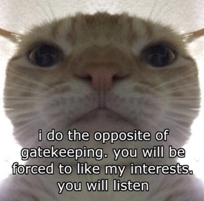 meme of text overlaying a cat saying "i do the opposite of gatekeeping. you will be forced to like my interests. you will listen"