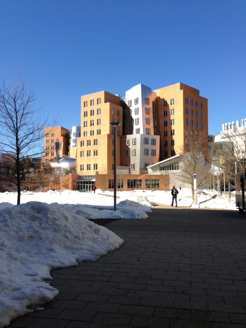 stata with snow